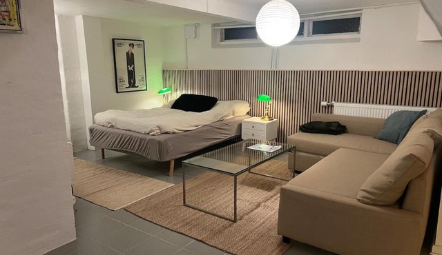 Large basement apartment in the middle of Odense