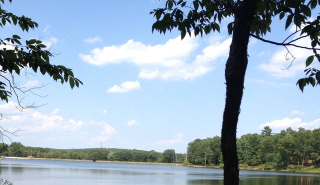 Large, Beautiful, Secluded LAKEFRONT house with HOT TUB. Private Lake Community