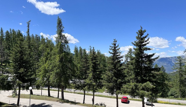 Large beautiful Studio Valberg full center 5 sleeps