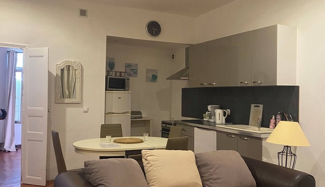 Large, bright apartment90 square metres Near the Canal du Midi-Four people