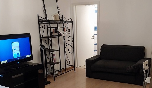 Large, bright, modern studio in Geneva, close to transport and amenities.