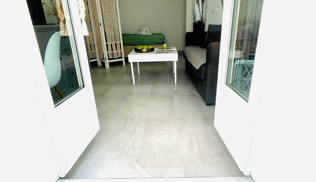 Large, bright studio with terrace in the heart of Nice