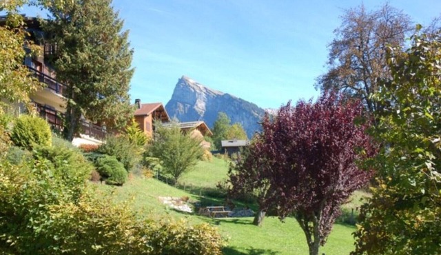 Large chalet, bright, very clean and very well equipped 3-star rating