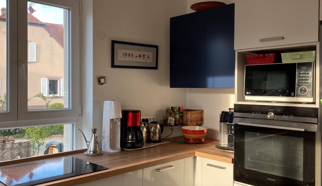 Large character house with wooded garden Obernai Alsace tourist town