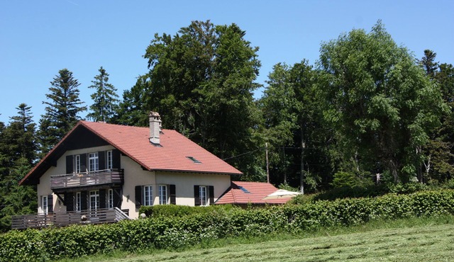 Large, characterful family chalet in the heart of nature.