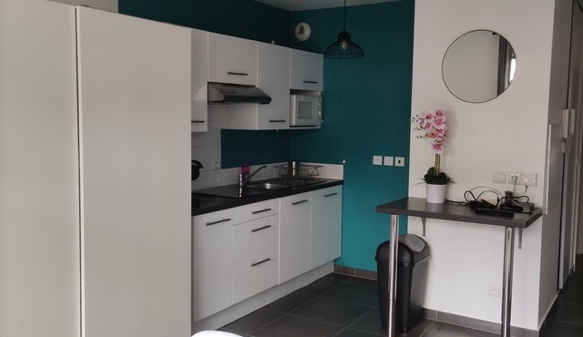 Large, charming and quiet studio