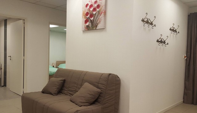 LARGE CITY CENTER GITE WITH 2 GARAGES