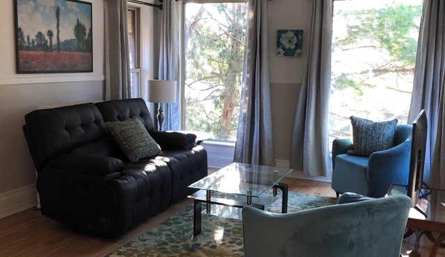 Large Clean Comfortable Centrally Located 1 bedroom Apt