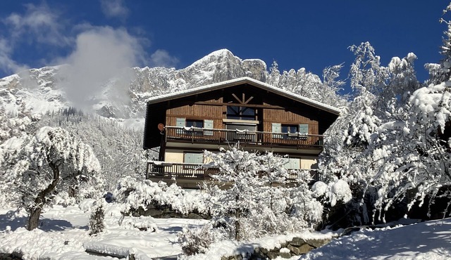 Large, comfortable apartment in a chalet near Chamonix