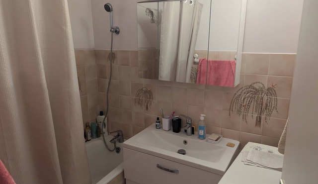 Large, comfortable apartment in Dijon, well located and well exposed.