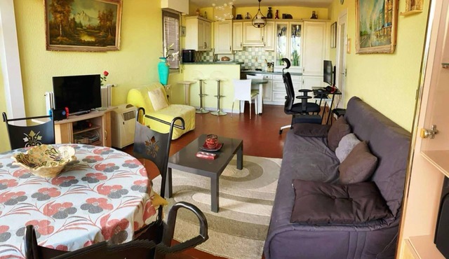 Large, comfortable T2 apartment