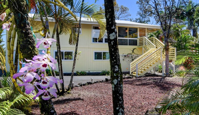 Large comfy house big enough for 2 families next to ocean on Kaloli point
