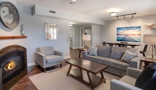 Large Condo Near Biltmore Estate