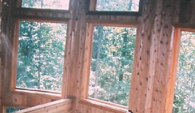 Large Contemporary in Wooded Privacy