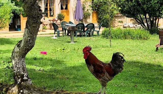 Large cottage comfort in the peace in full nature