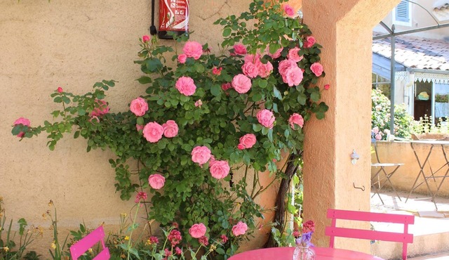 Large cottage on the farm 12 - 18 people