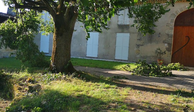 Large country house with swimming pool in the entre deux mers region