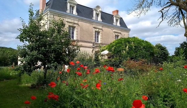 Large country mansion with chef's kitchen in Loire wine and chateau region
