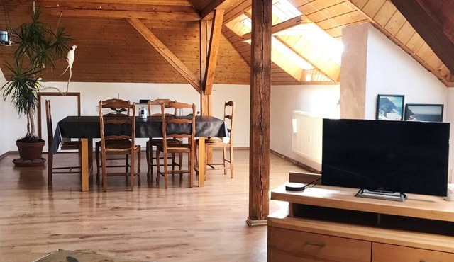 Large & cozy 120 m2 spacey apartment, 4 rooms with kitchen and big living room