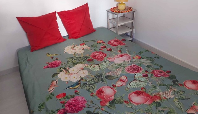 Large cozy studio in Castellane/Gorges du Verdon