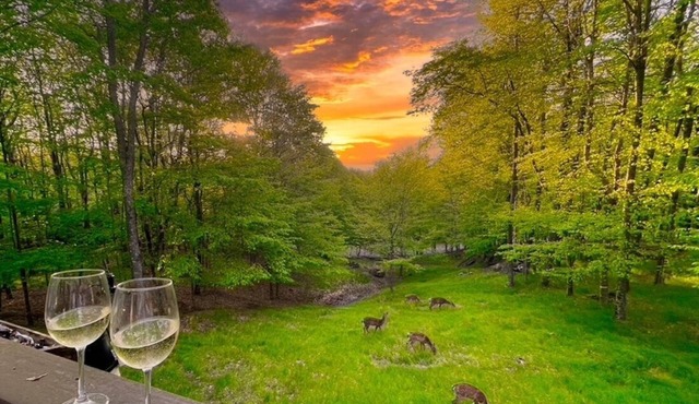 Large Deck with Beech Mtn Views/Fireplace/Pets OK/Near Hiking, Biking & Fishing