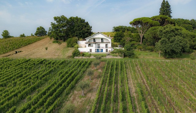 Large designer villa with swimming pool and vineyard - Bordeaux Sud