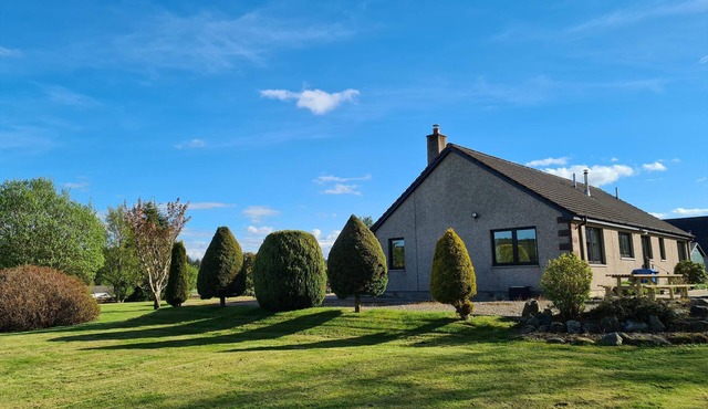 Large detached holiday home in large open garden