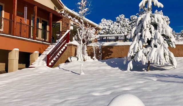 Large downstairs rental.1 bedroom.Full size kitchen.walk in shower No sharing