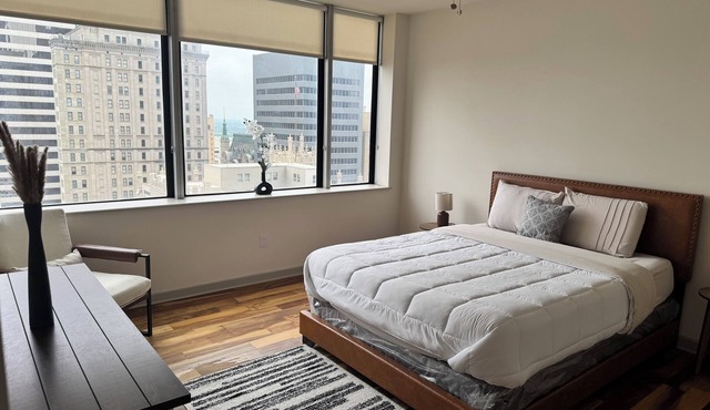 Large downtown Dallas apartment with a view
