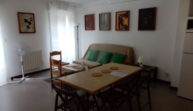 Large duplex apartment, nature side, Grenoble city center