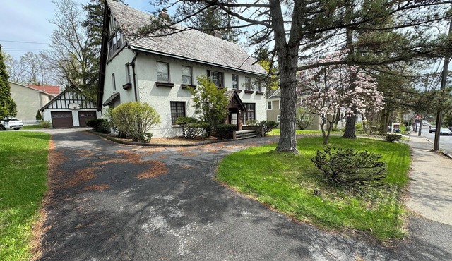 Large English Tudor offering 3 generous floors of living space - Belmont/Travers