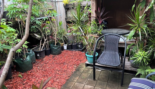 Large ensuite room with courtyard opposite the twin city hotel & Riverway