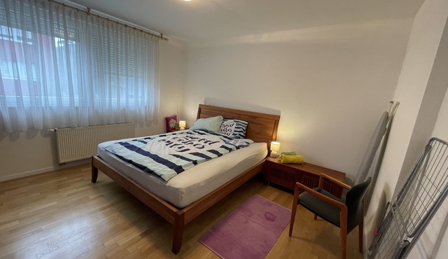 Large Exclusive Apartment 2 Bedroom + Living Room with Balcony near Lake Jarun