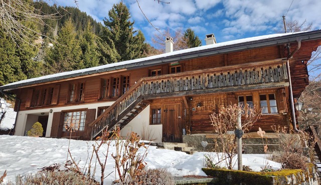 Large family chalet in the heart of nature: calm and comfortable living!