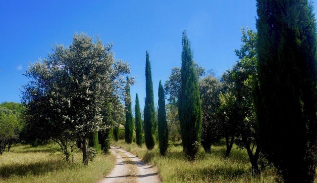 Large family home in the countryside with private pool at the foot of the Luberon mountains