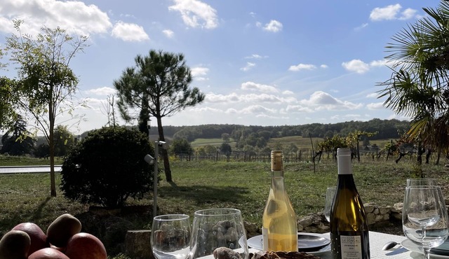 Large family home surrounded by vineyards