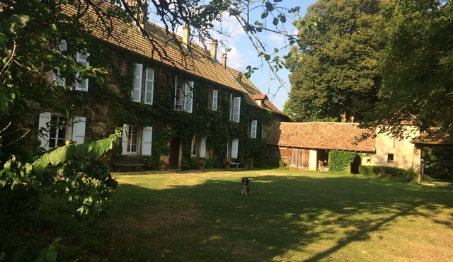 Large family home with enclosed park in Rothonod