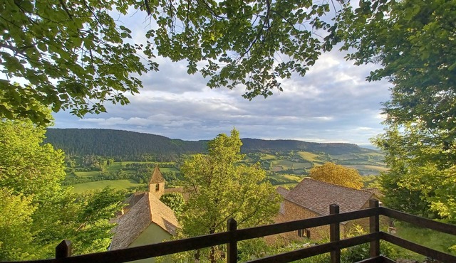 Large family home with character in authentic Lozère village