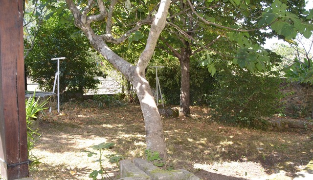 LARGE FAMILY HOUSE IN THE HEART OF NATURE