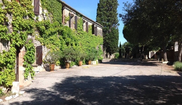 Large family house surrounded by vineyards