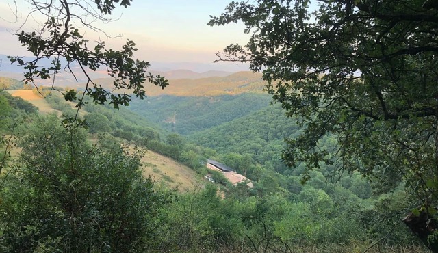 Large farmhouse with private pond - 15 people