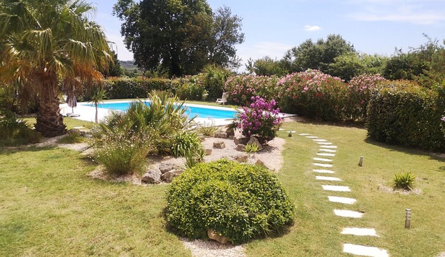Large private villa pool