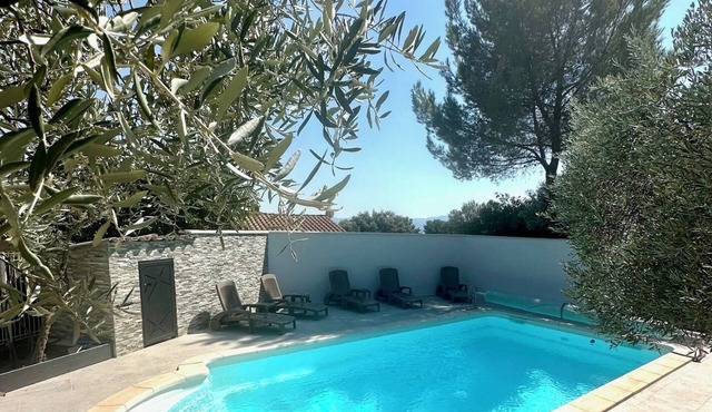 Large contemporary house with garden