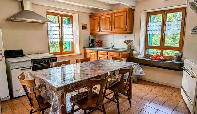 Large family house in the Vosges with Alsatian stove and near l'Ognon waterfall