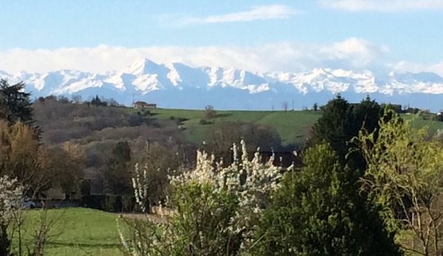 Large Gascon house near Marciac