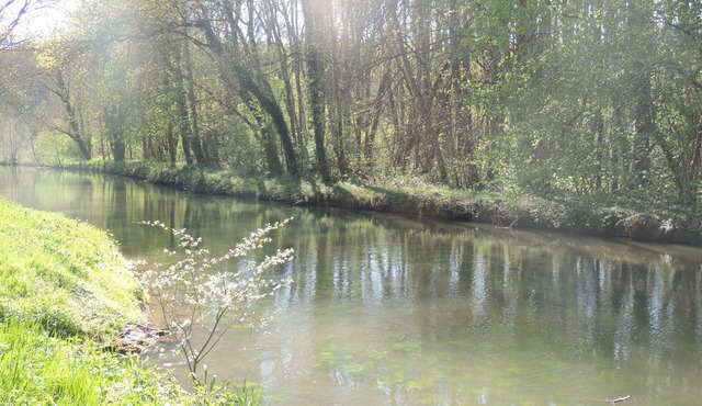 Large gite in the heart of the Loire castles