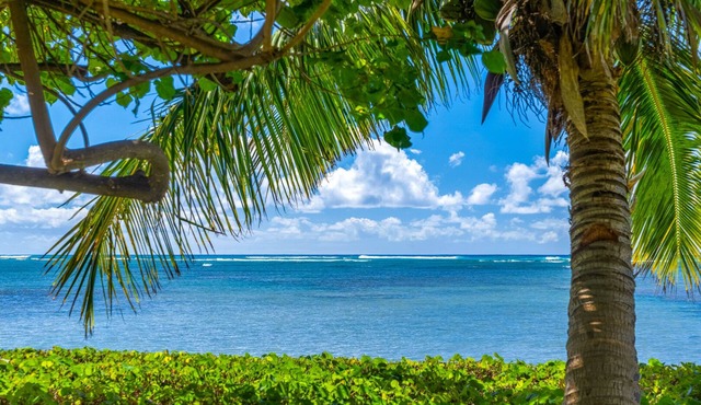 Large Hawaiian Style Plantation property.