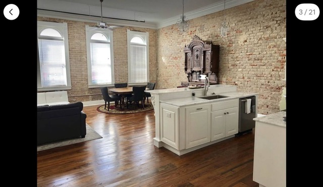 Large Historic downtown apartment with a view