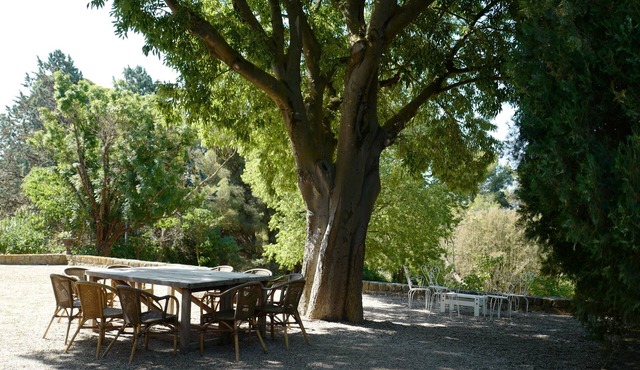 Large house in the middle of a park, very friendly, private pool, beach 5 minutes away.