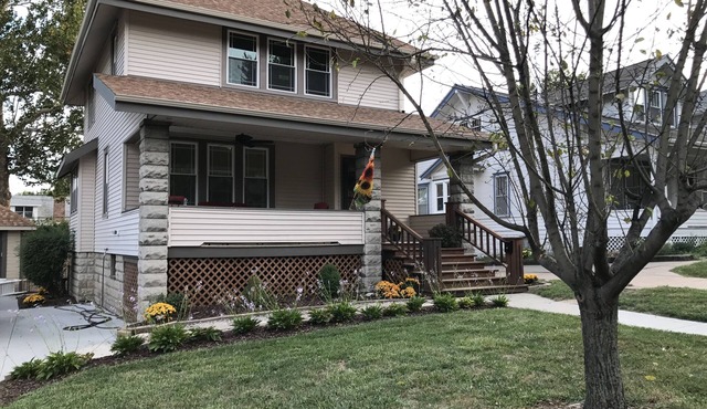 Large Home In Dundee For Families, Pets Welcome